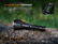FENIX HT18R V2.0