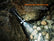 FENIX LD35R
